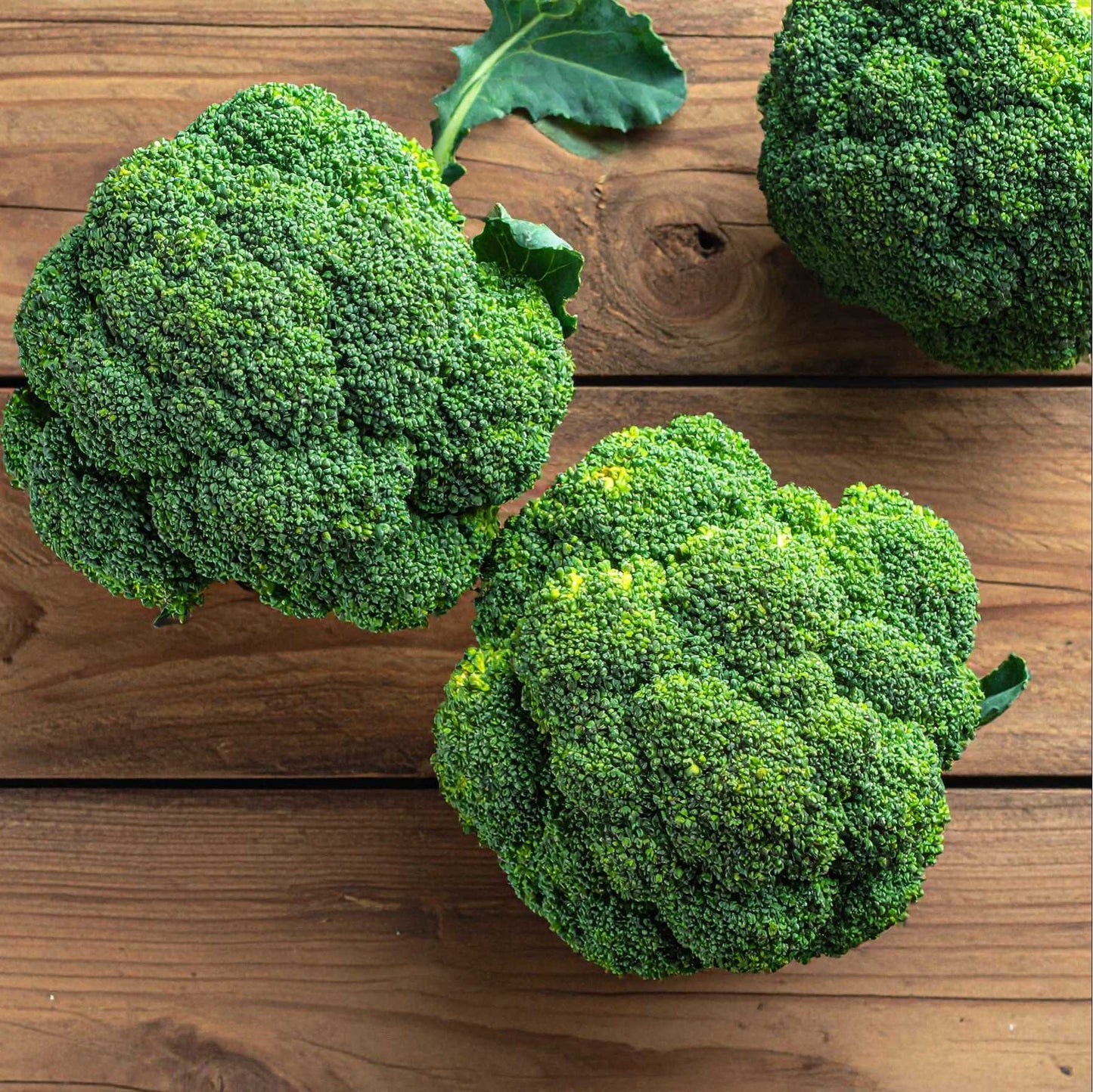 Broccoli