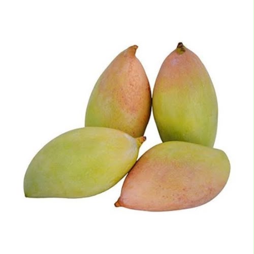 Totapuri Mango