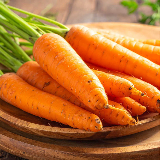 Carrot (Gajar)