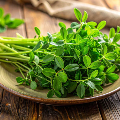 Fenugreek (Methi)
