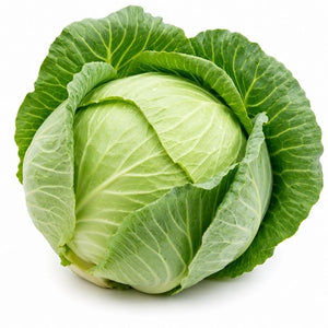 Cabbage