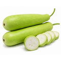 Bottle Gourd (Lauki)