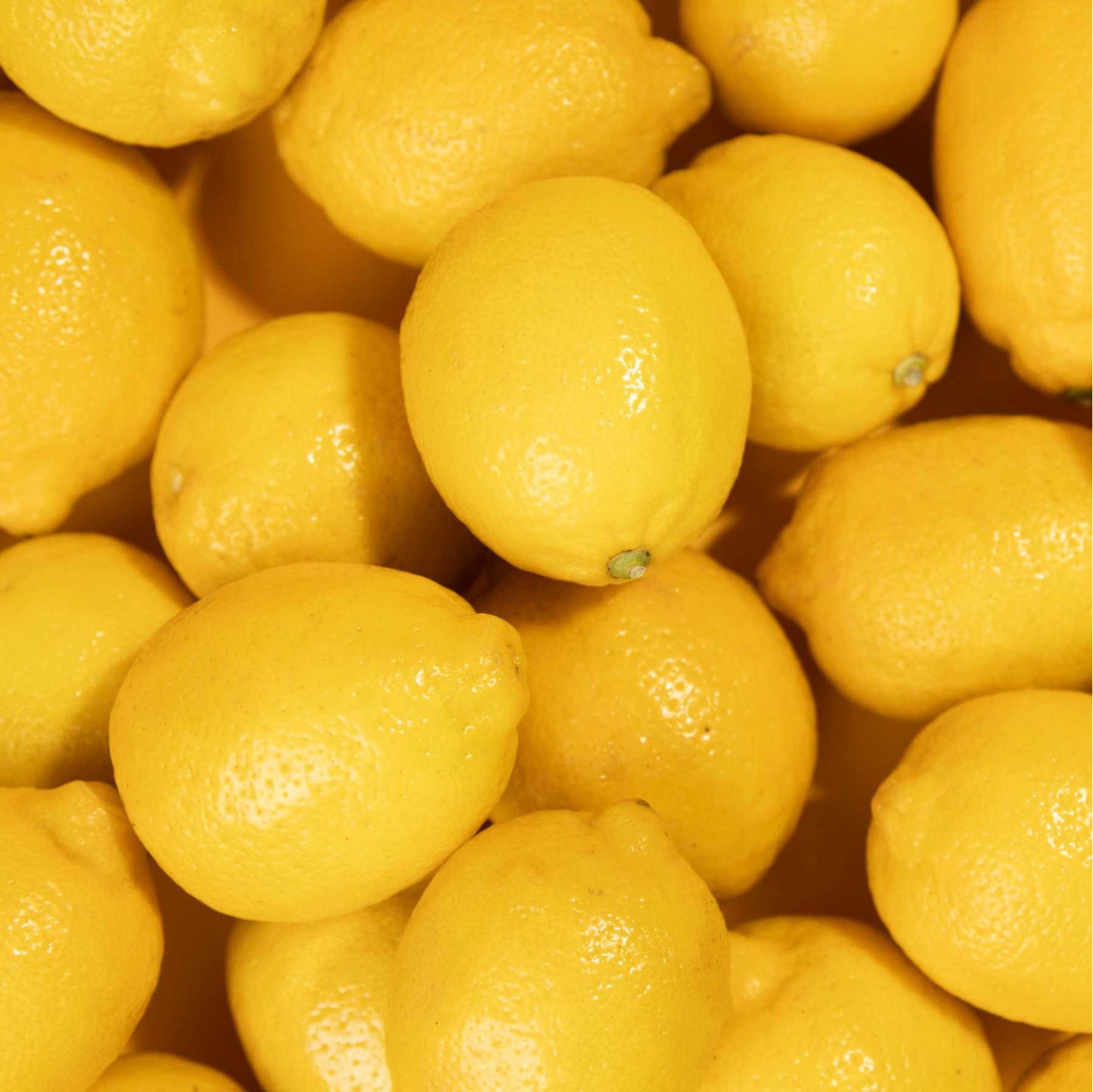 Lemon (Nimbu)