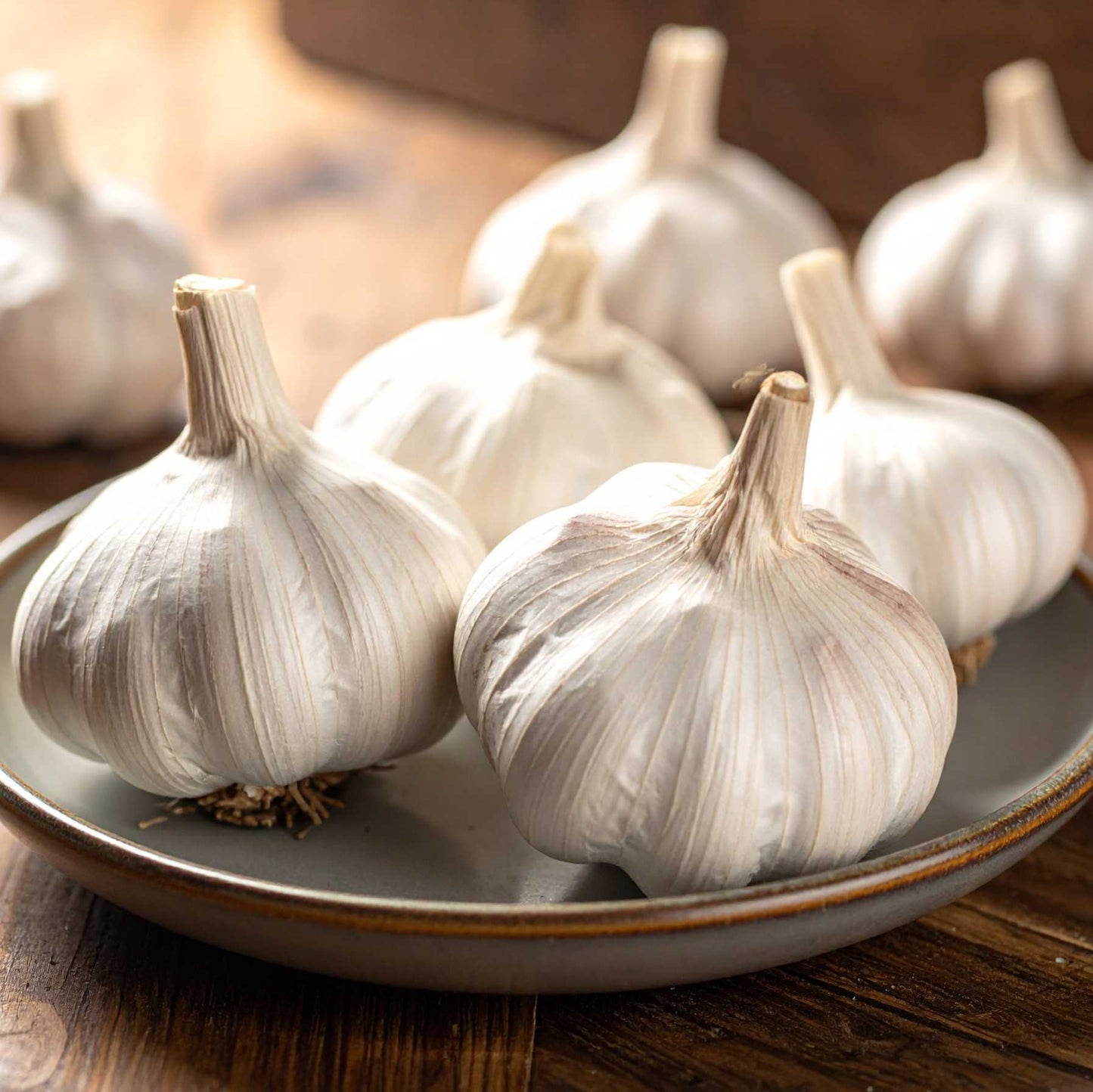 Garlic (lahasun)