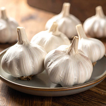 Garlic (lahasun)
