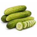 Cucumber ( Desi Kheera)
