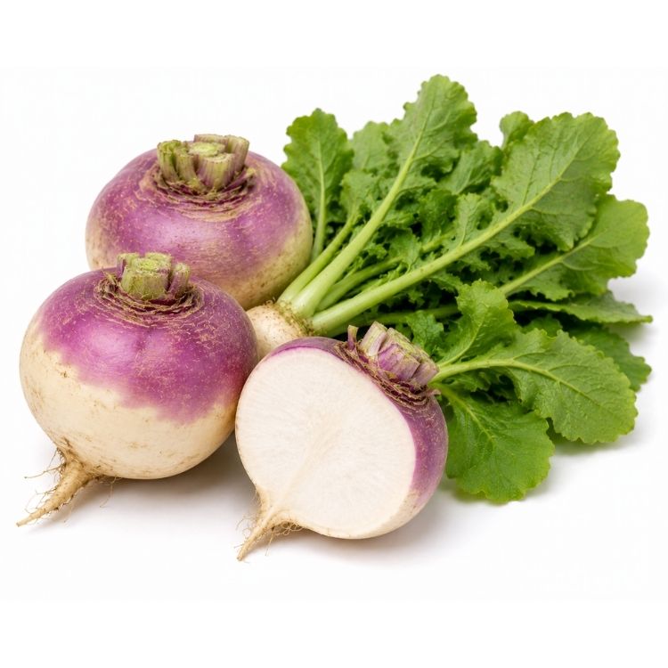Turnip (Shalgam)