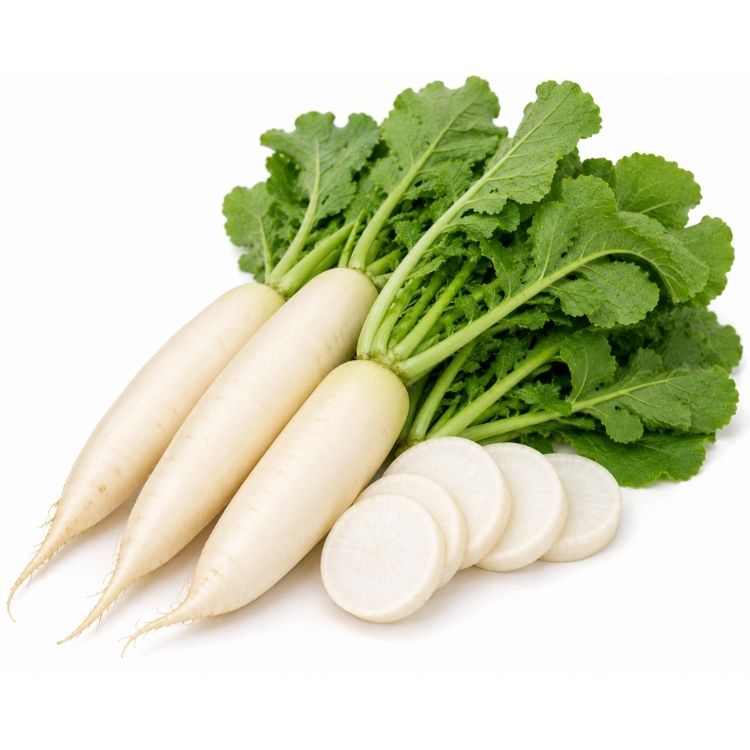 Radish (Mooli) - 1 Kg