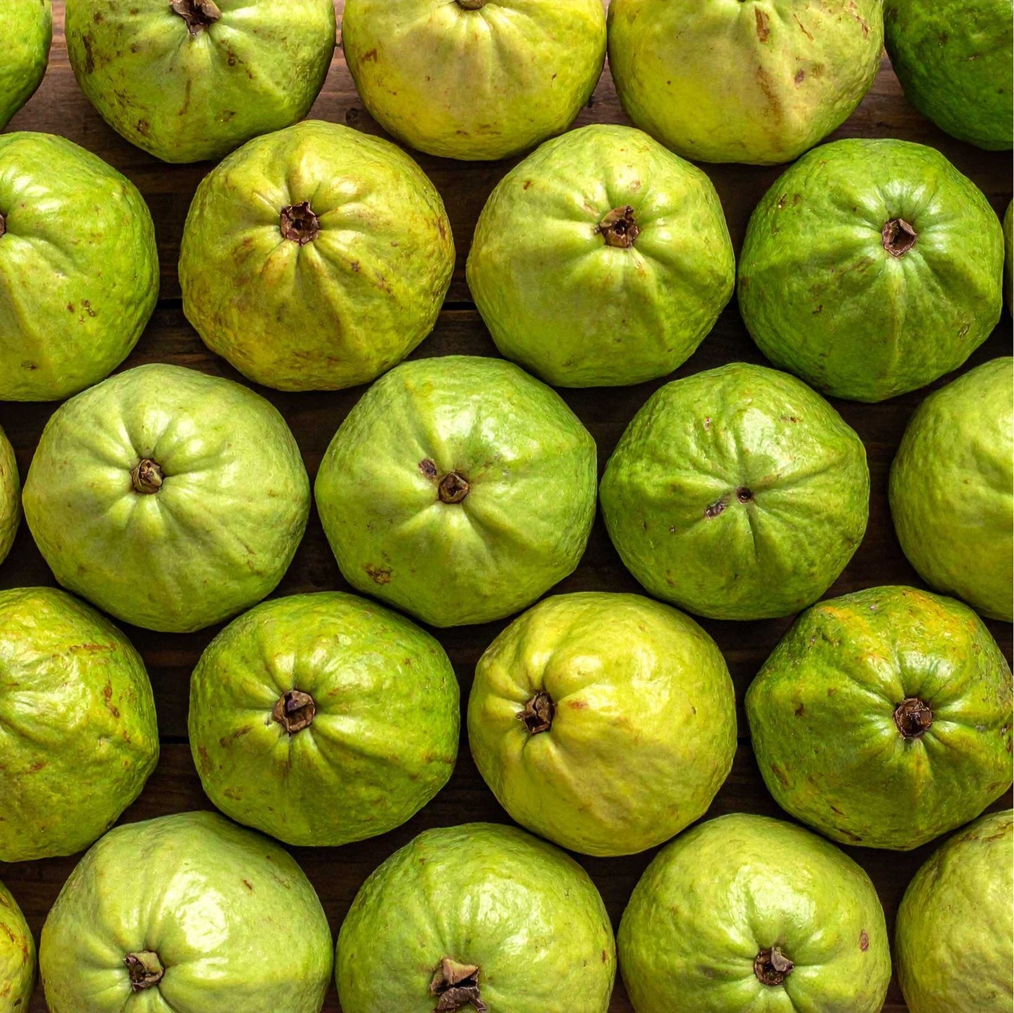 Guava (amarood)