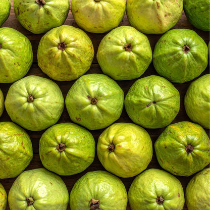 Guava (amarood)