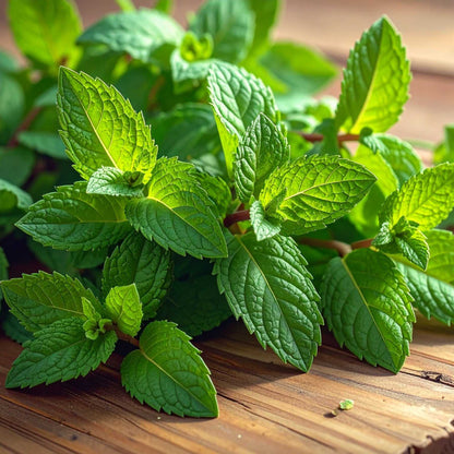 Mint (Pudina)