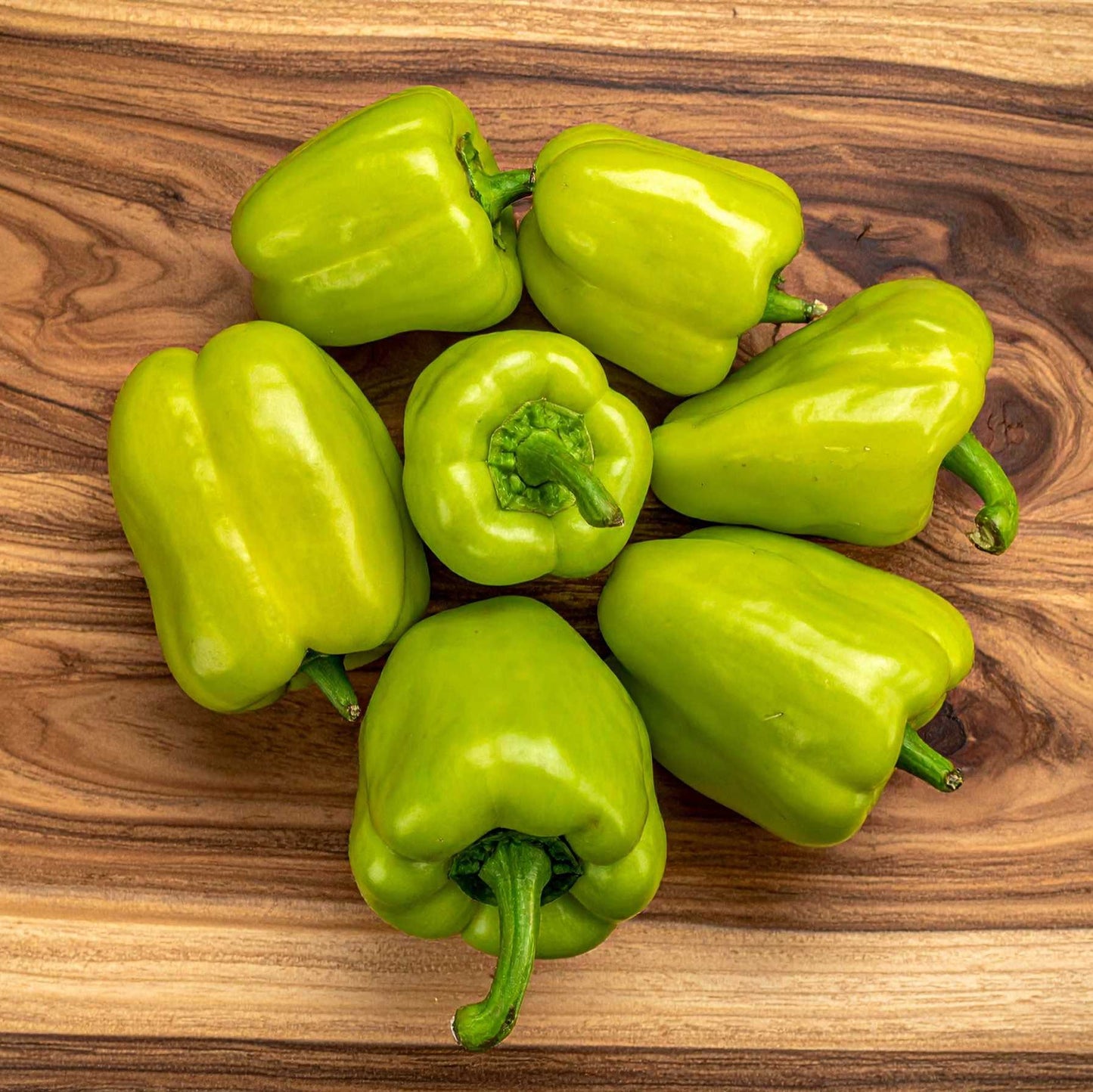 Capsicum (Shimla Mirch)