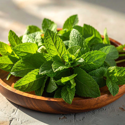 Mint (Pudina)