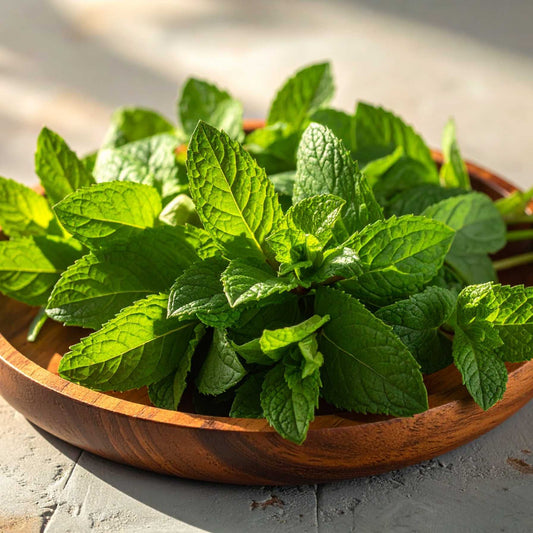 Mint (Pudina)