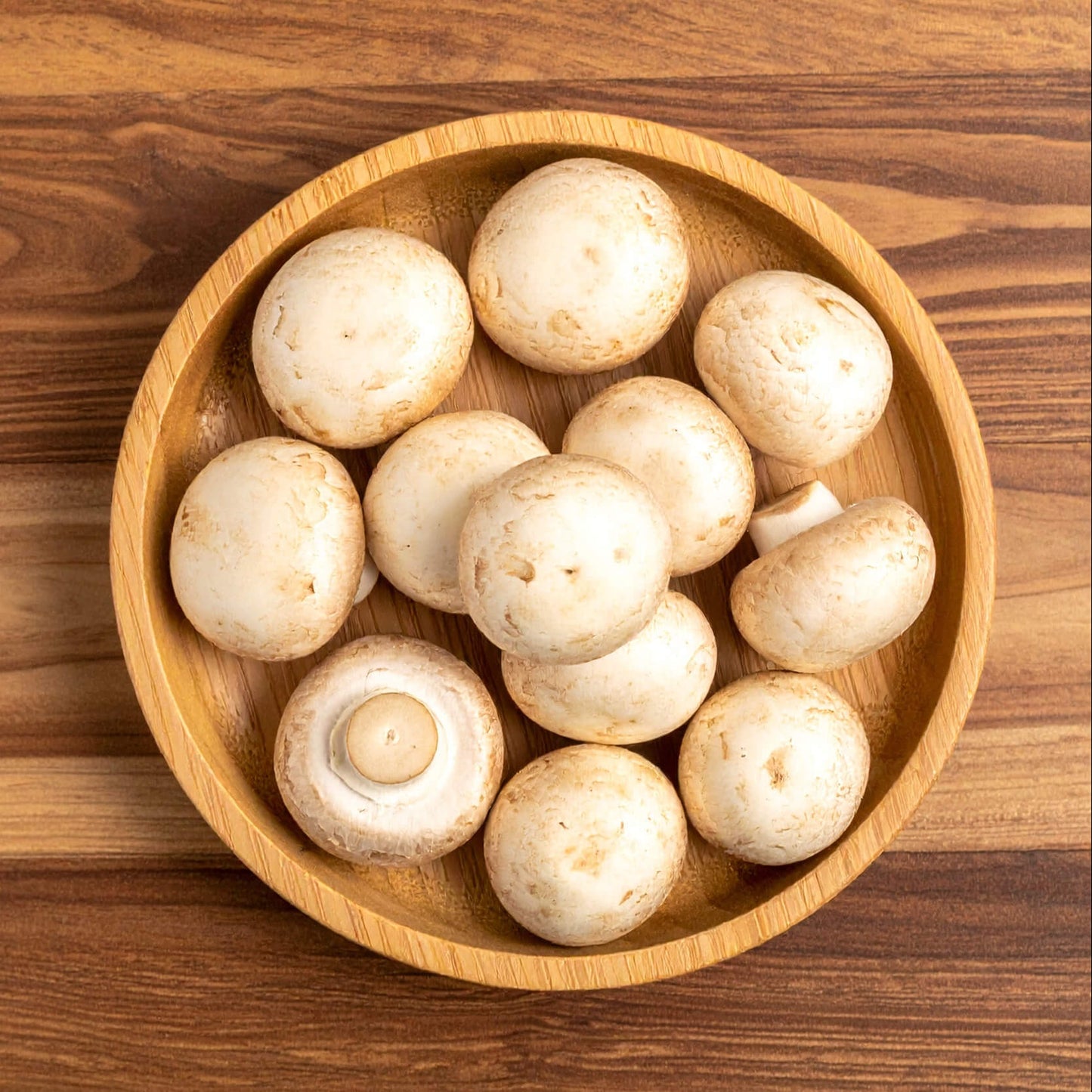 Mushroom