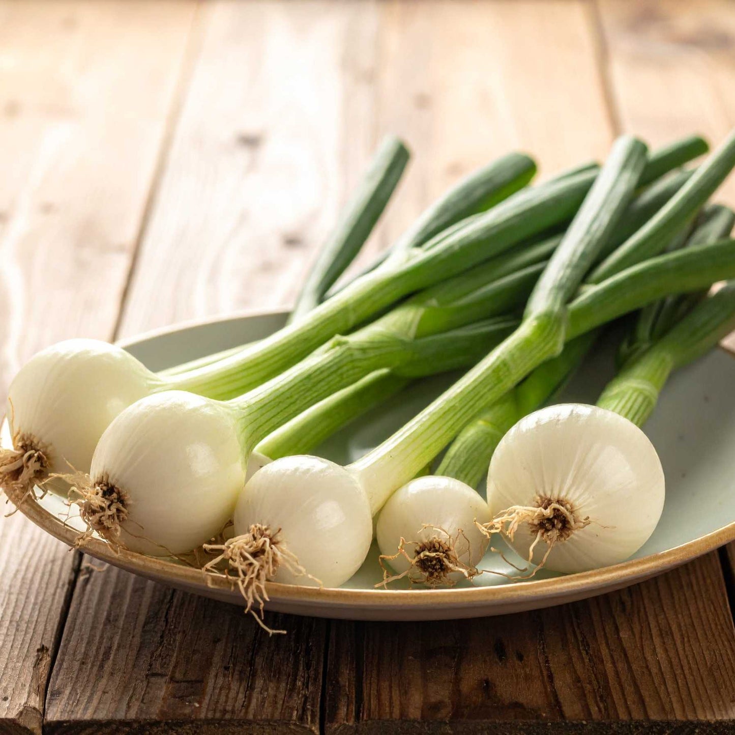 Spring Onion (haree pyaaj)