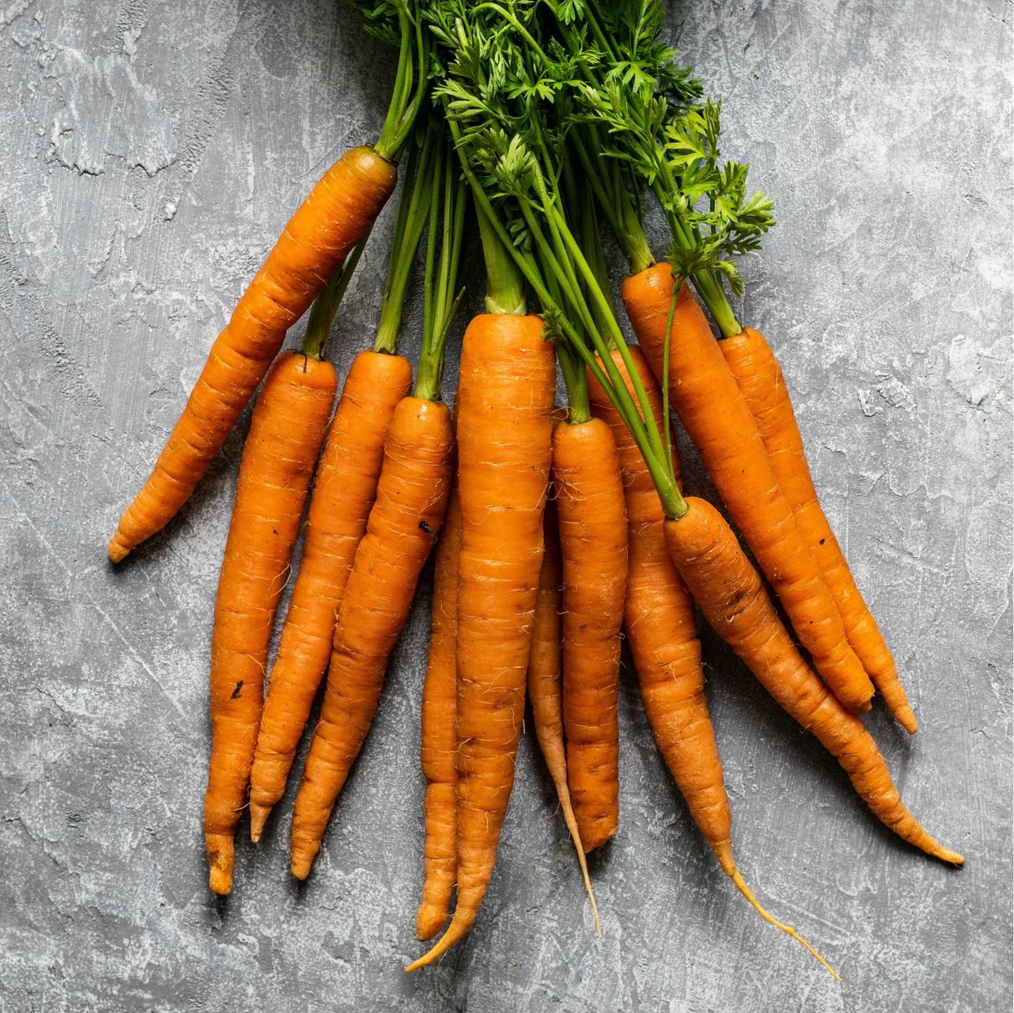 Carrot (Gajar)