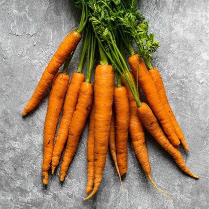 Carrot (Gajar)