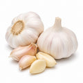 Garlic (lahasun)
