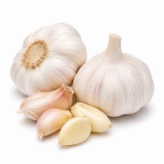 Garlic (lahasun)