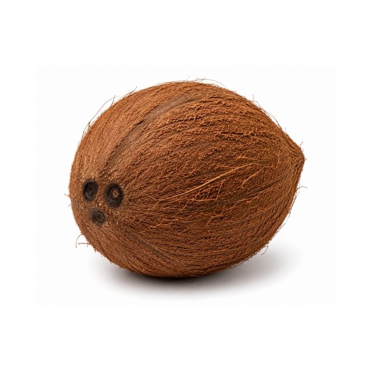 Brown Coconut