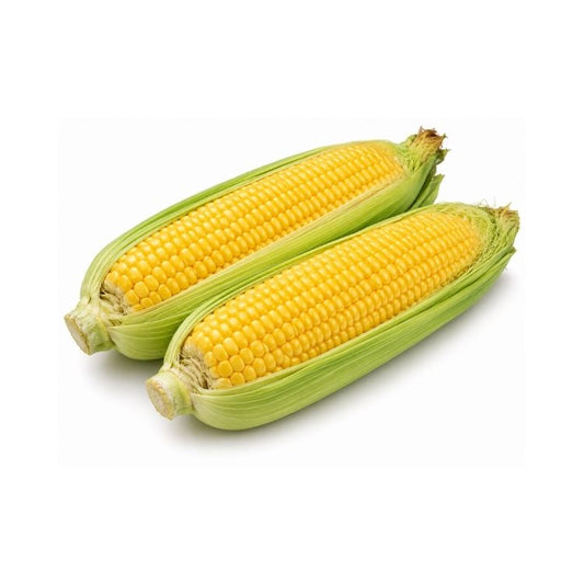 Corn Cob (Bhutta)