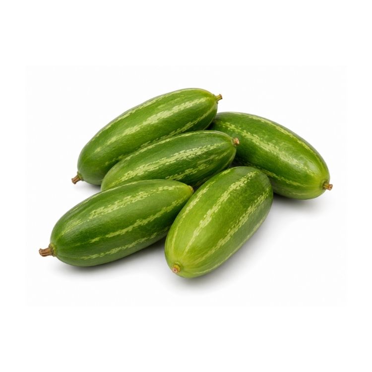 Ivy Gourd (Kundru / Tindora)