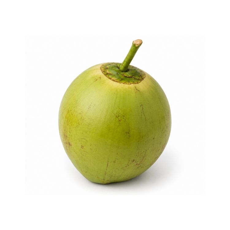 Tender Coconut (Water Coconut)