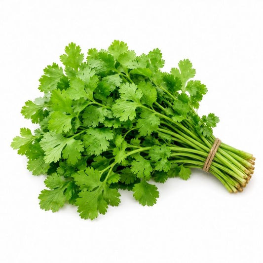 Coriander (Dhaniya)