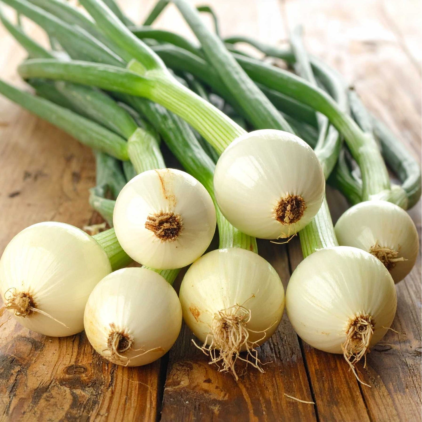 Spring Onion (haree pyaaj)