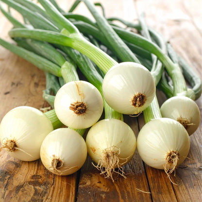 Spring Onion (haree pyaaj)
