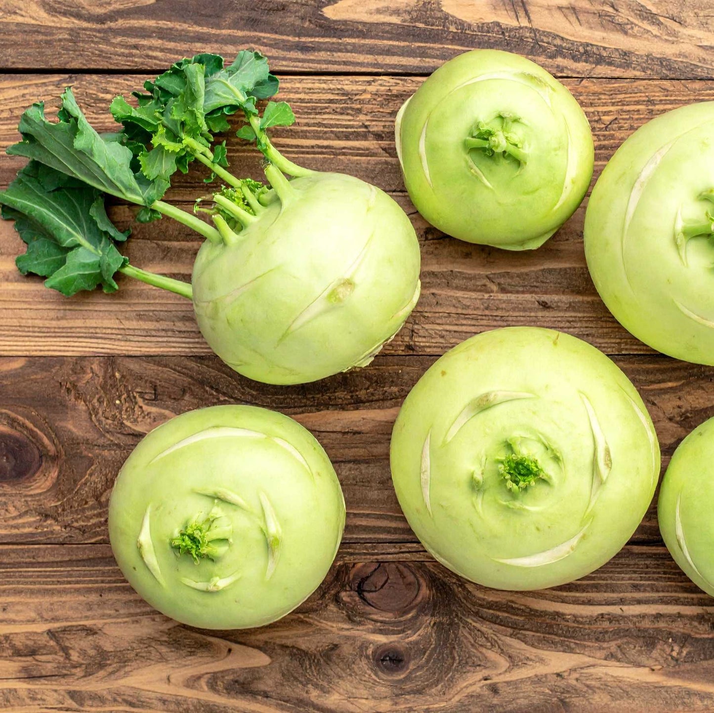 Kohlrabi (kadam)