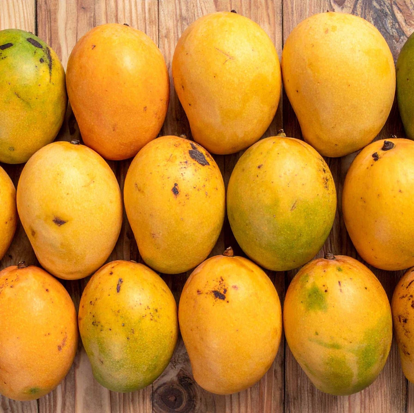 Mango (Safeda aam)