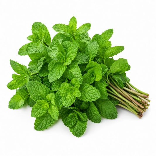 Mint (Pudina)