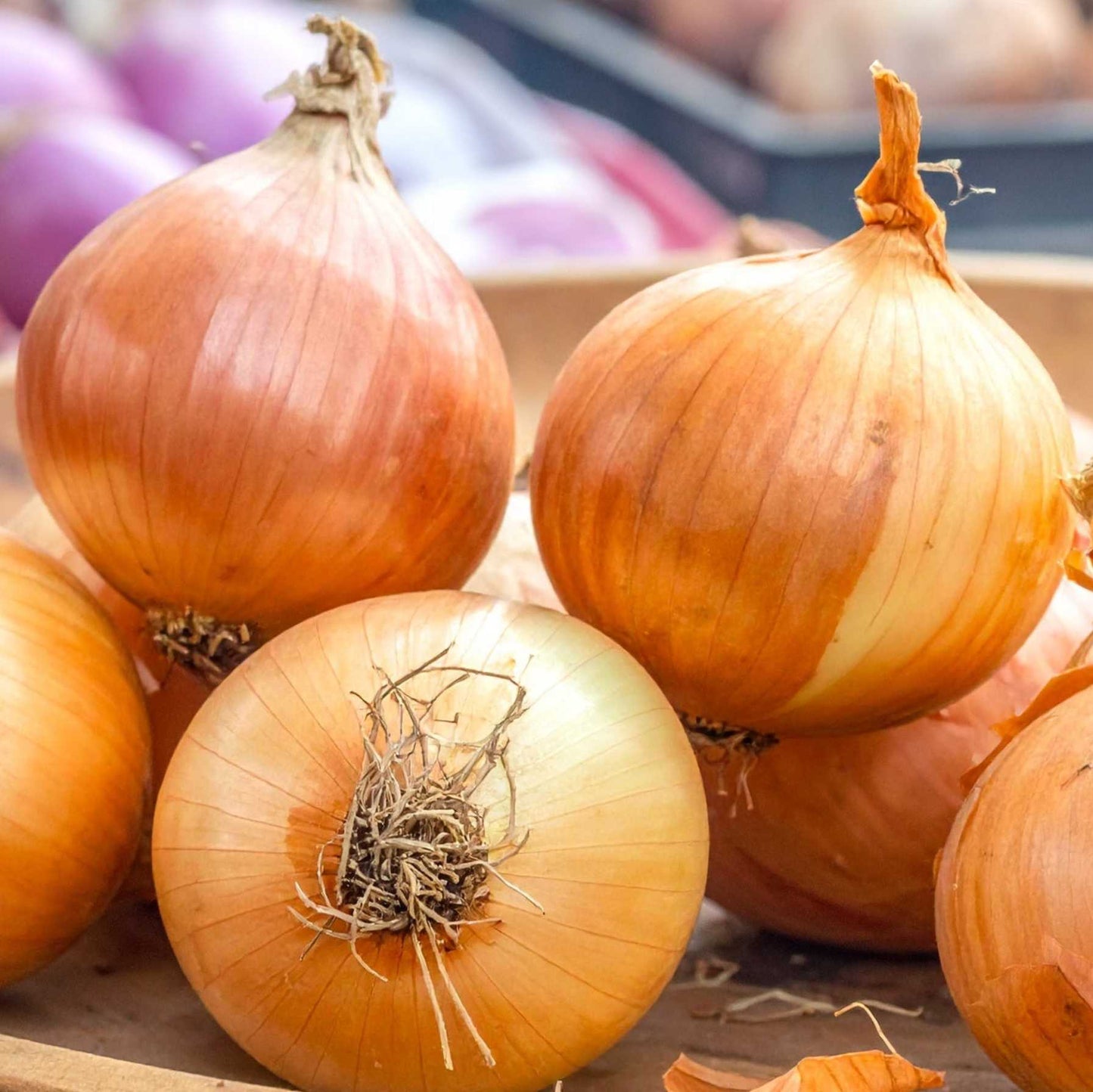 Onions (pyaaj)