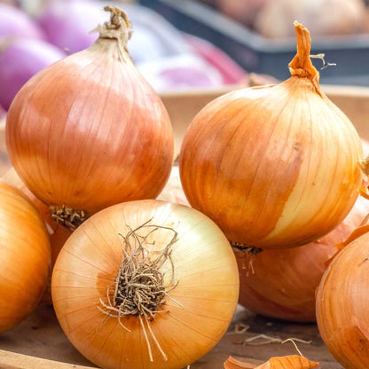 Onions (pyaaj)
