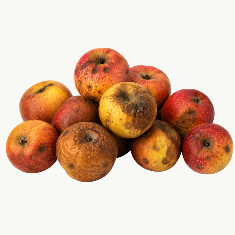 <strong>Market Quality</strong>