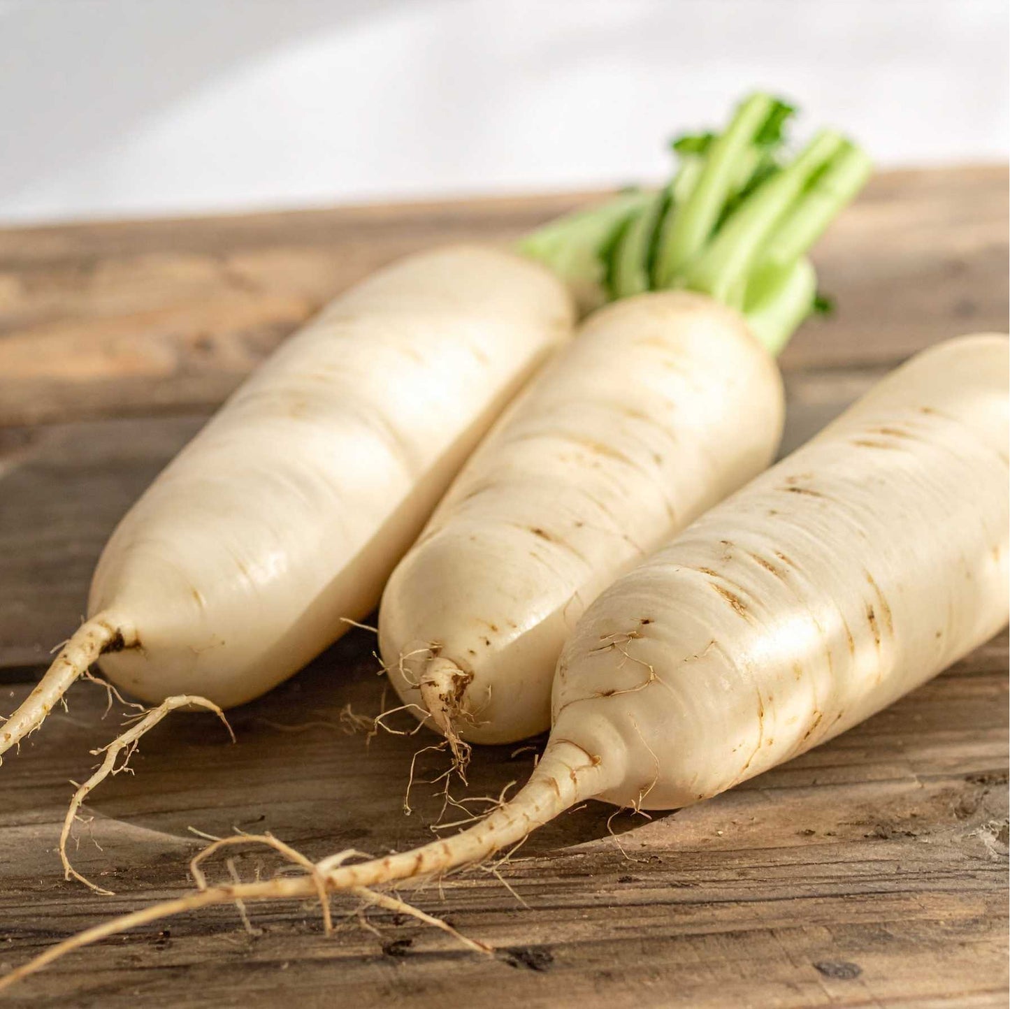Radish (Mooli)