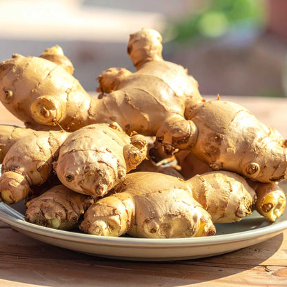 Ginger (adarak)